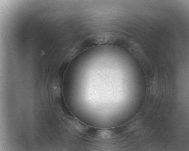 X0000062830226200601171428