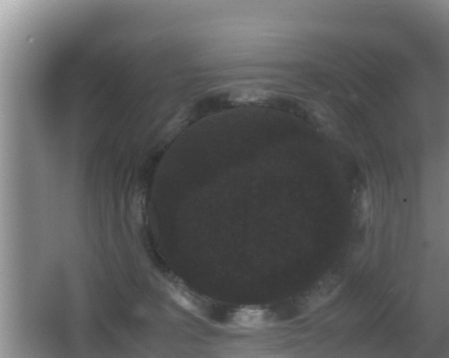 X0000062830227200601171428