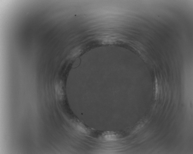 X0000062830228200601171427