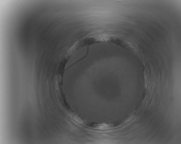 X0000062830229200601171427