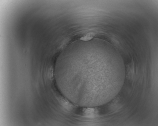 X0000062830230200601171427