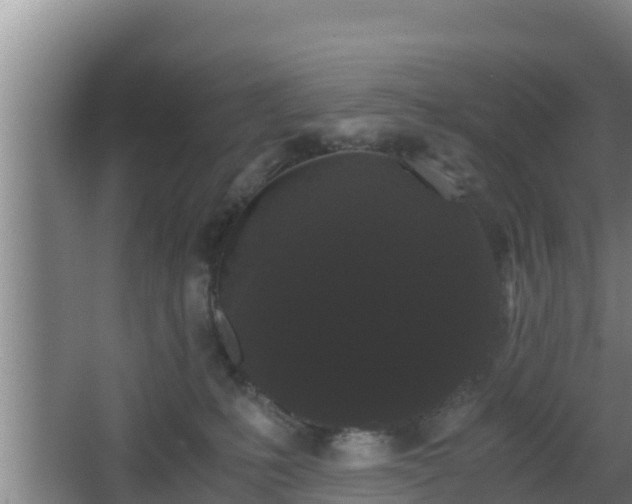 X0000062830231200601171427