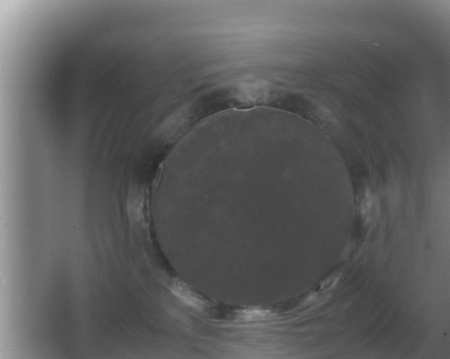 X0000062830233200601171427