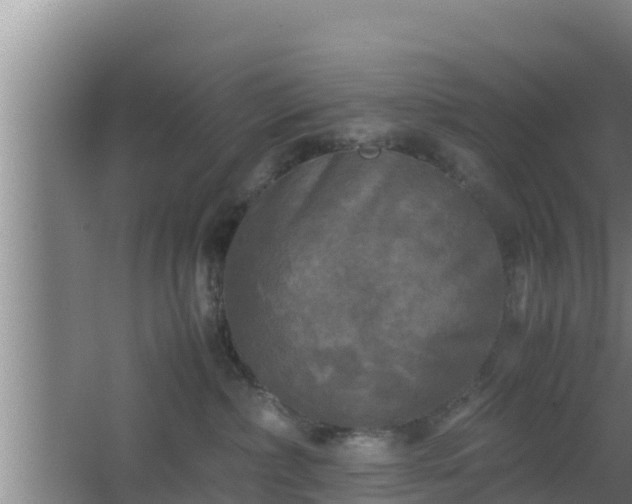 X0000062830236200601171427