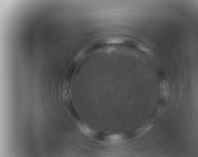 X0000062830237200601171427