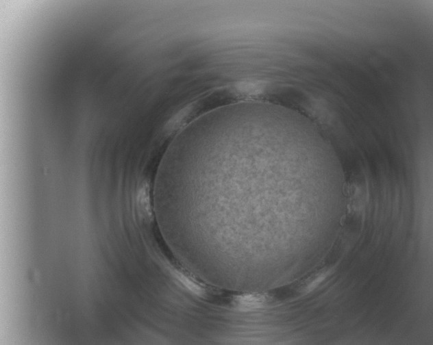 X0000062830238200601171427