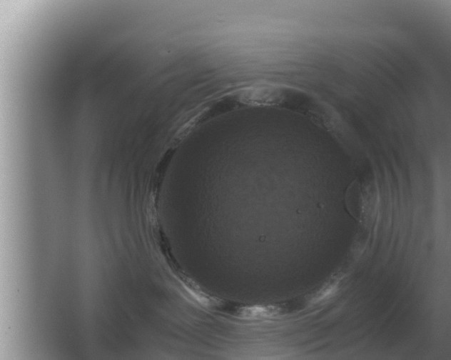 X0000062830239200601171427