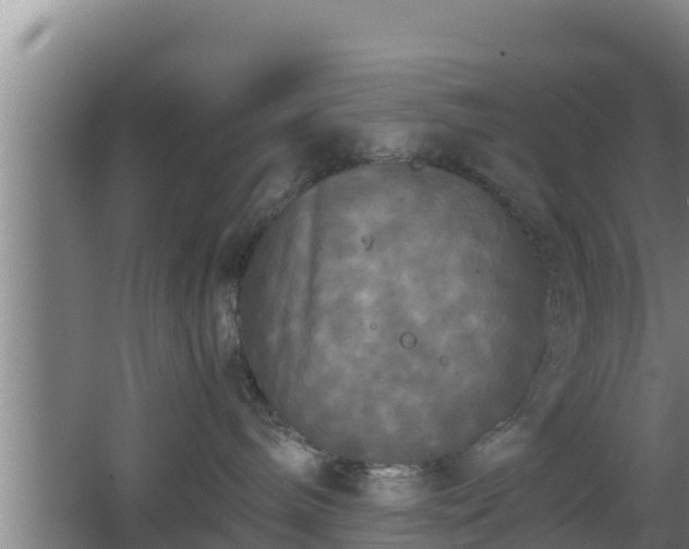 X0000062830240200601171427