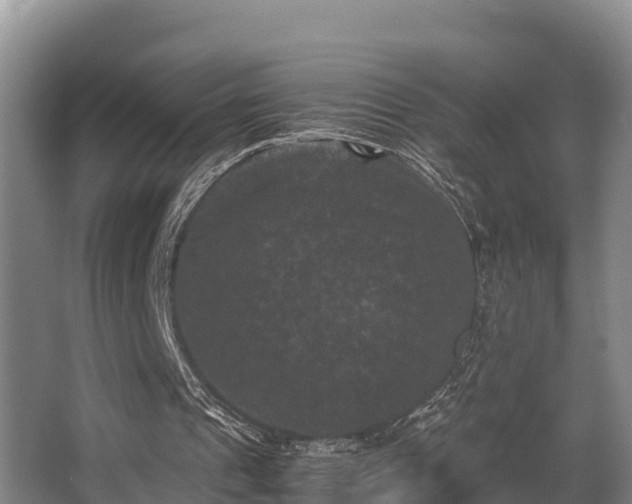 X0000062830241200601171426