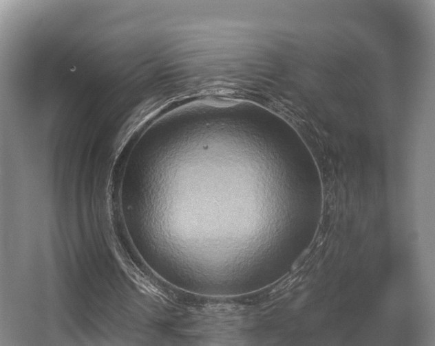 X0000062830242200601171427