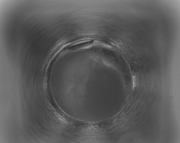 X0000062830243200601171427