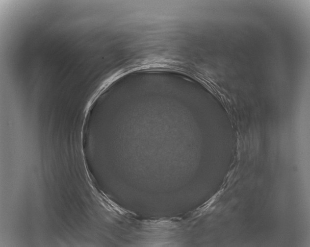 X0000062830244200601171427