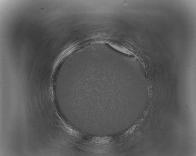 X0000062830245200601171427