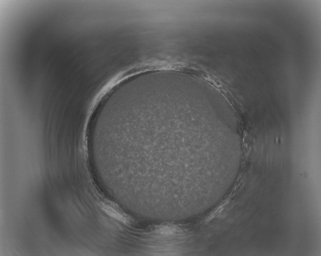 X0000062830246200601171427