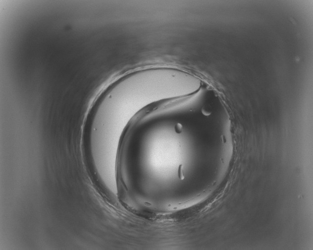 X0000062830248200601171427