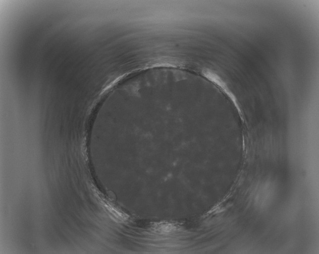 X0000062830249200601171427