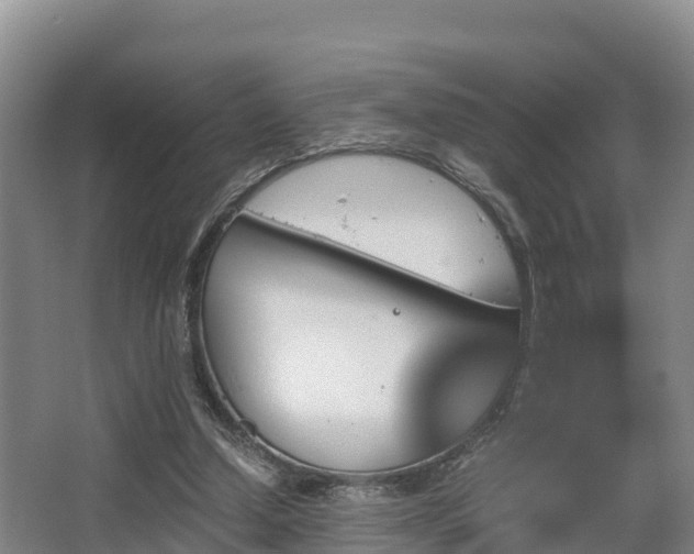 X0000062830250200601171427