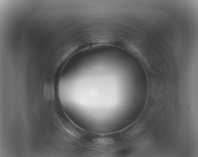 X0000062830251200601171427