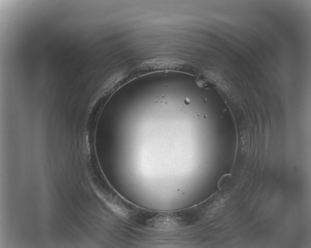 X0000062830254200601171427