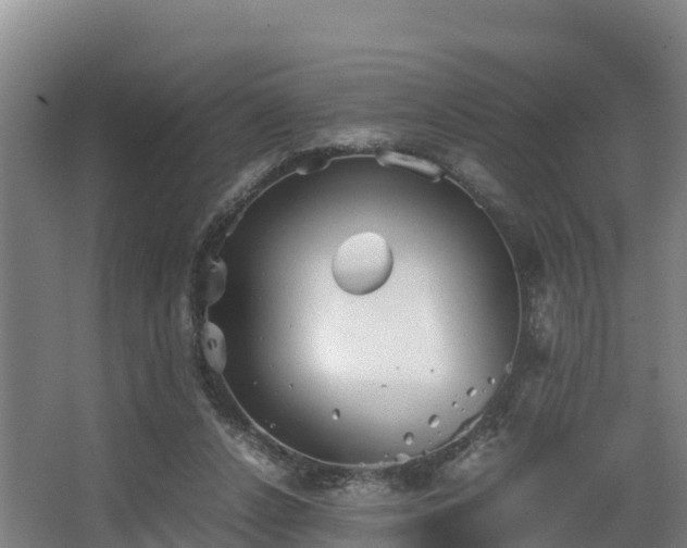 X0000062830256200601171427