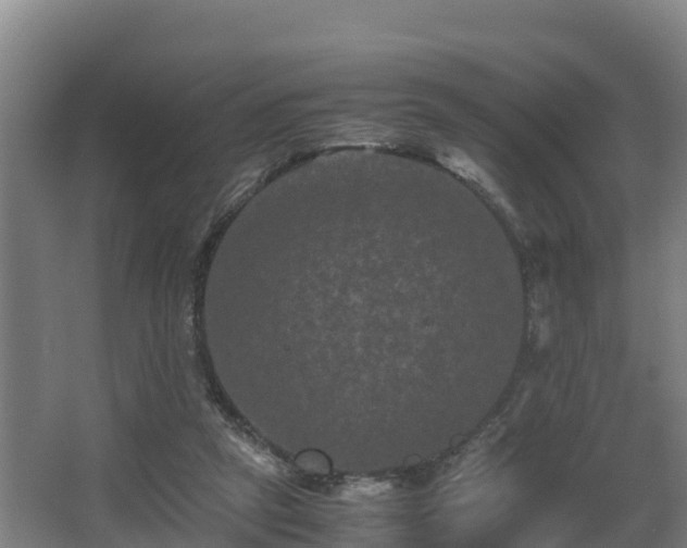 X0000062830257200601171427