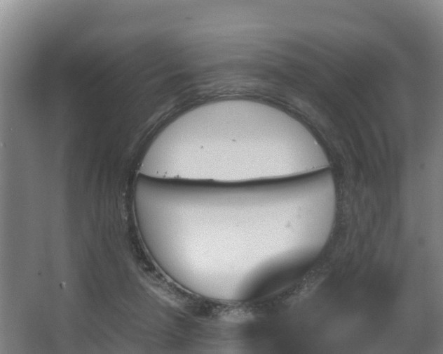 X0000062830258200601171427