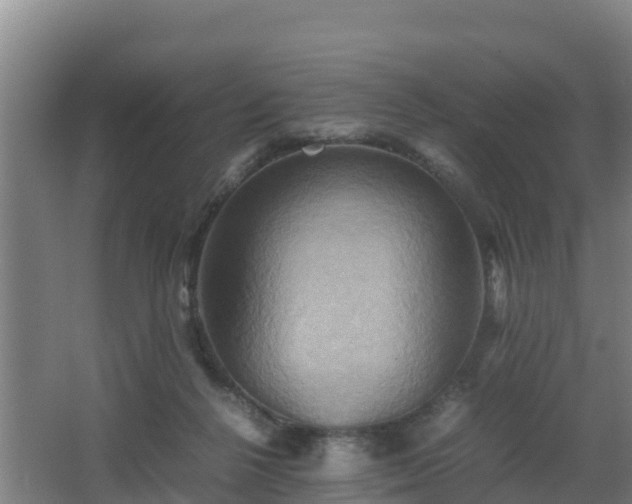 X0000062830264200601171427