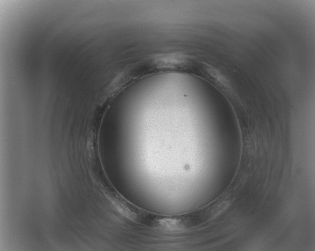 X0000062830265200601171427