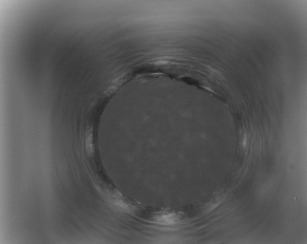 X0000062830267200601171427