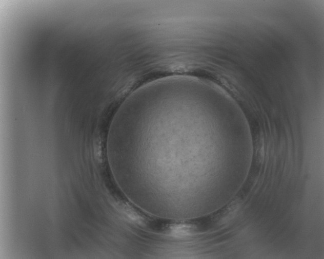 X0000062830268200601171427