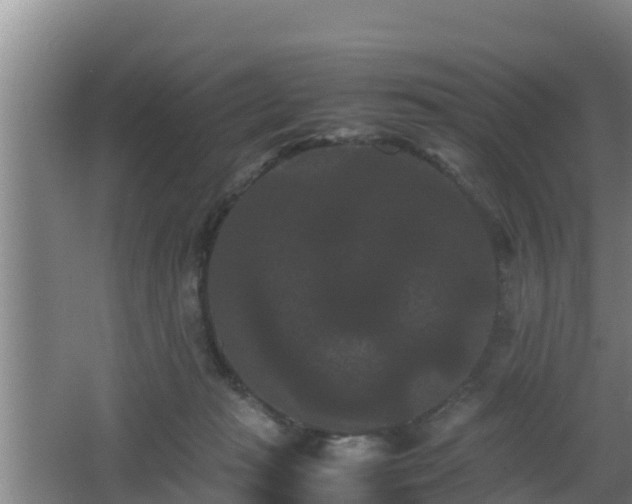 X0000062830269200601171427