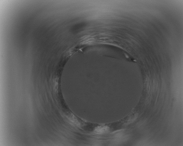 X0000062830271200601171427