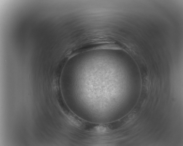 X0000062830272200601171427