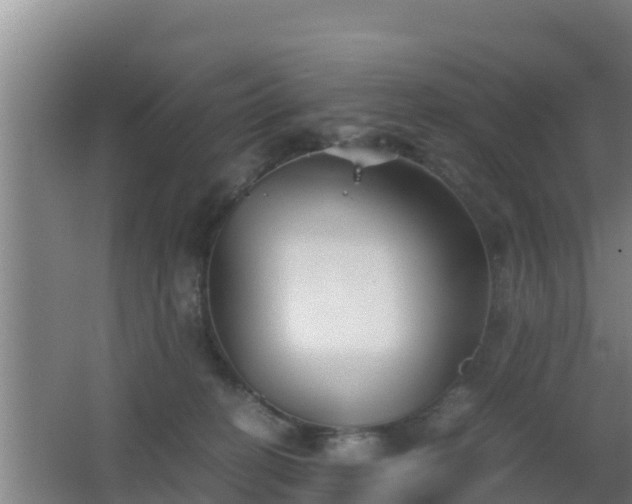 X0000062830274200601171427