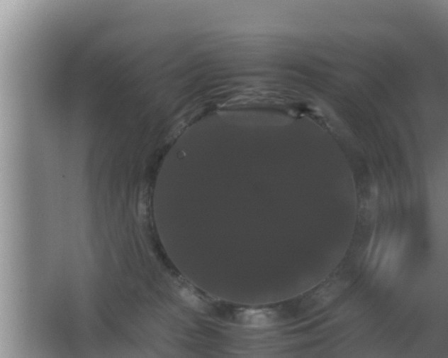 X0000062830277200601171427