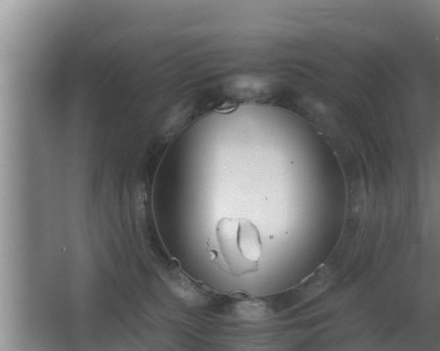 X0000062830279200601171427