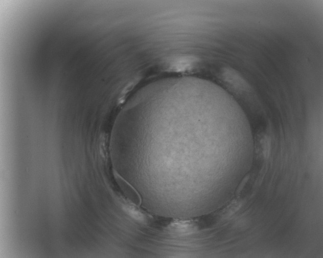 X0000062830280200601171427