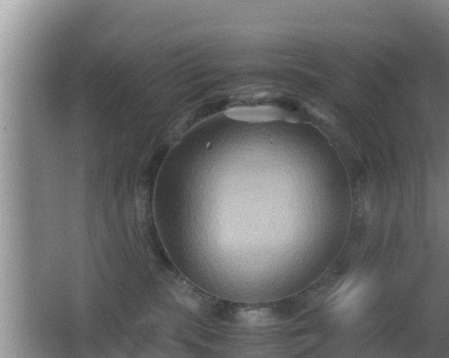 X0000062830283200601171427