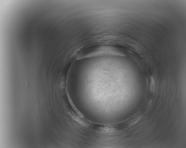 X0000062830284200601171427