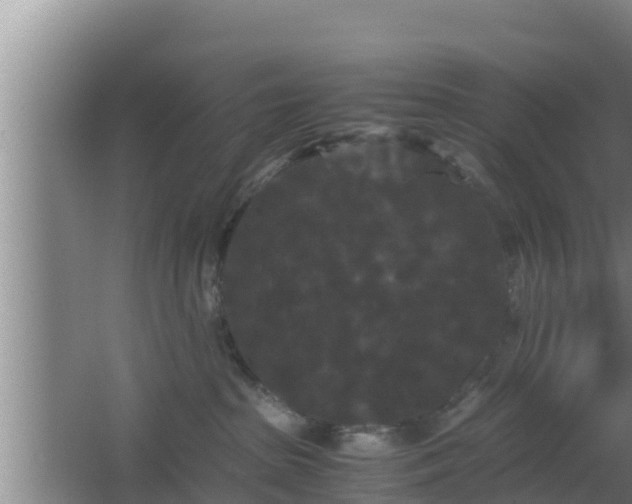 X0000062830285200601171427