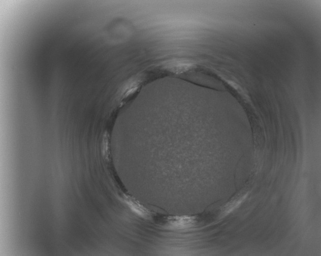 X0000062830288200601171427