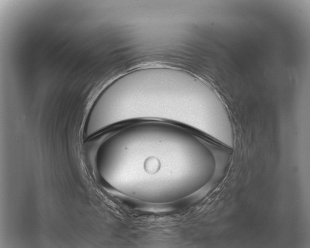 X0000062830289200601171426