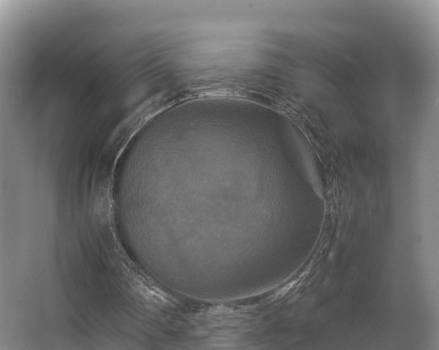 X0000062830290200601171426