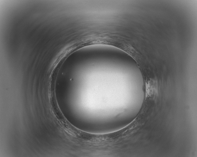 X0000062830291200601171426