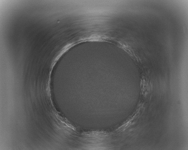 X0000062830292200601171426