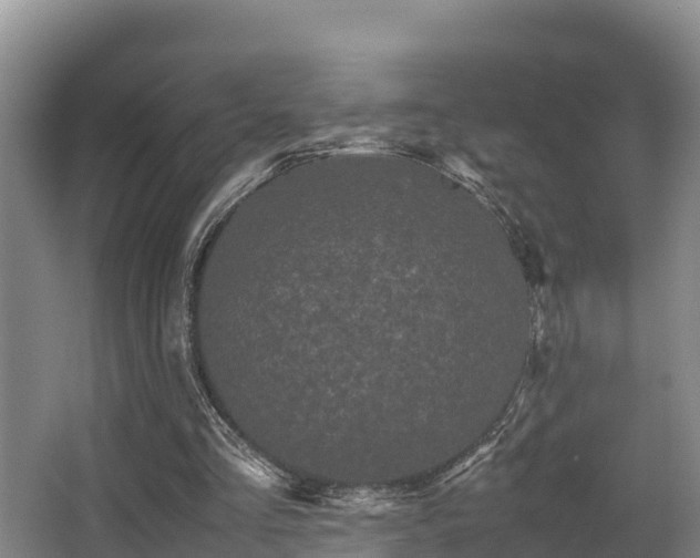 X0000062830293200601171426