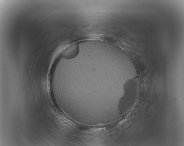 X0000062830294200601171426