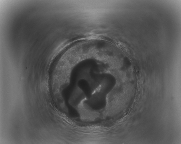 X0000062830295200601171426