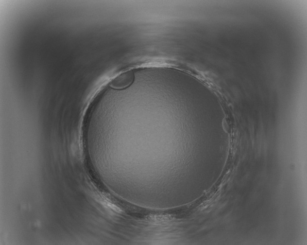 X0000062830296200601171426