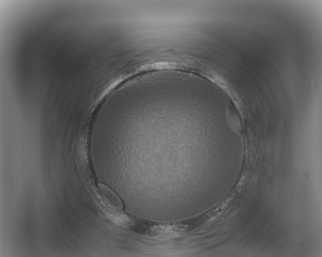 X0000062830297200601171426